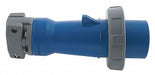 IEC Pin and Sleeve Plug 100 A Blue 3Pl