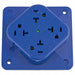 Receptacle Blue 20 A 2P3W Back 1PK