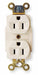 Recept White 15 A 2P3W Back Side 1PK
