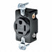 Recept Black 20 A 3P4W Back Side 1PK