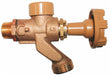Anti-Siphon Hose Bibb 1/2 In Brass