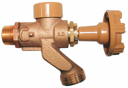 Anti-Siphon Hose Bibb 1/2 In Brass