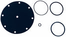 Valve Rebuild Kit For Use w/6CJP2-4