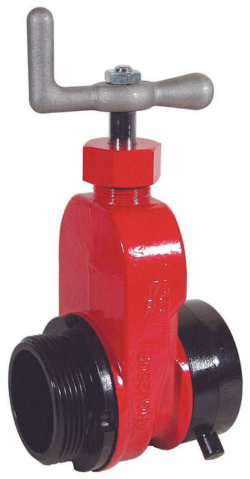 Gate Valve Single 2-1/2 In NST