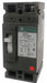 Circuit Breaker 100A 2P 480VAC TED