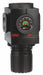 Air Regulator 1 in NPT 290 cfm 250 psi