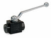 Manual 2-Way Ball Valve NPT Carbon Steel