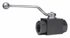 Manual 2-Way Ball Valve NPT Carbon Steel