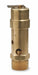 Air Safety Valve 1 Inlet 125 psi