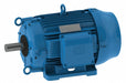 Cooling Tower Motor 254T 15