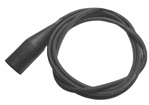 Cable Three Conductor 10 Ft