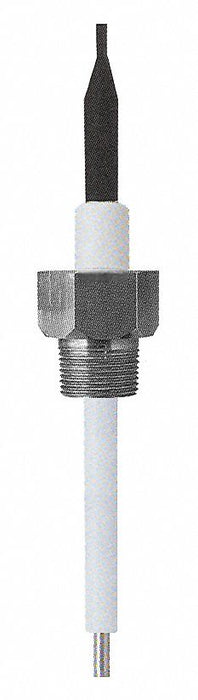 Liquid Level Probe 12In 3/4NPT PTFE 10Ft