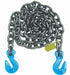 Recovery Chain Grab Hook Style 10 Chain