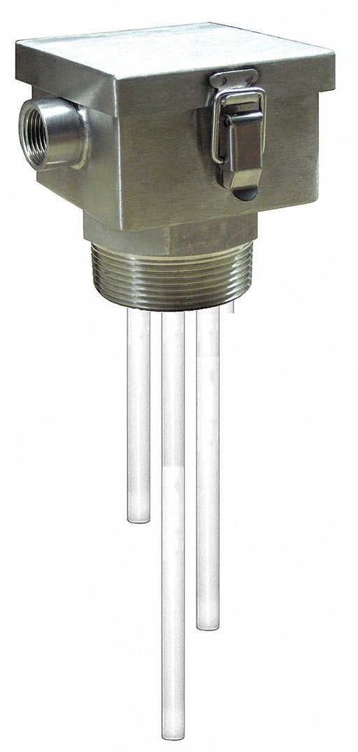 Liquid Level Probe 12 18 24 In 2-1/2 NPT