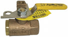 Manual 2-Way Ball Valve NPT Bronze