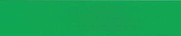 Shelf Marker Green 1 1/4in x6in