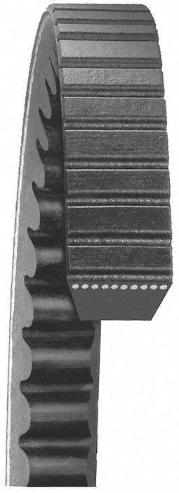 Truck V-Belt Industry Number 23650