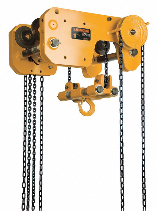 Hoist/Trolley ANSI/ASME B30.16