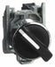 SelectorSwitch Non-Illum 2Pos 22mm Black