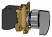 SelectorSwitch Non-Illum 2Pos 22mm Black