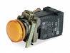 Pilot Light Orange 22mm Incandescent