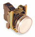 Pilot Light White 22mm LED