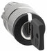 KeyedSelectorSwitch Black 3Pos 22mm
