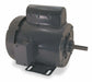 50 Hz Motor 1/3 HP 1 425 RPM 110/220V 56
