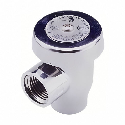 Vacuum Breaker 3/4 in FNPT 125 psi