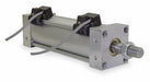 Switch Reed No Spst