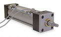 Switch Reed No Spst