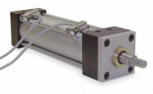 Switch Reed No Spst