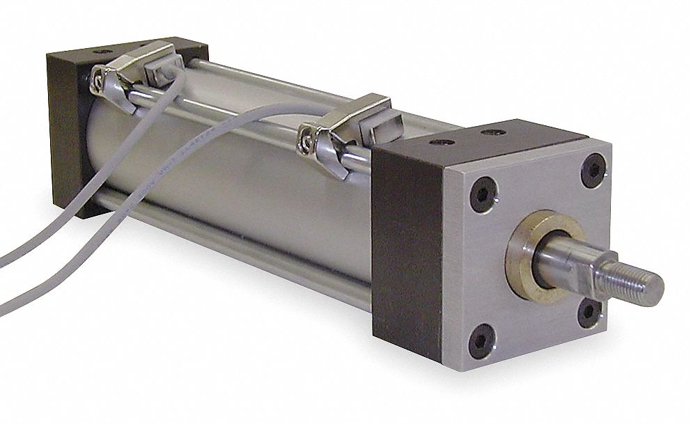 Switch Reed No Spst