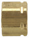 Plug Brass NPTF 1/4 in PK25