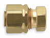 Plug Brass NPTF 1/4 in PK25