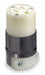Straight Blade Connector 15A 5-15R