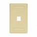 Wall Plate 1 Port