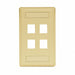 Wall Plate 4 Port