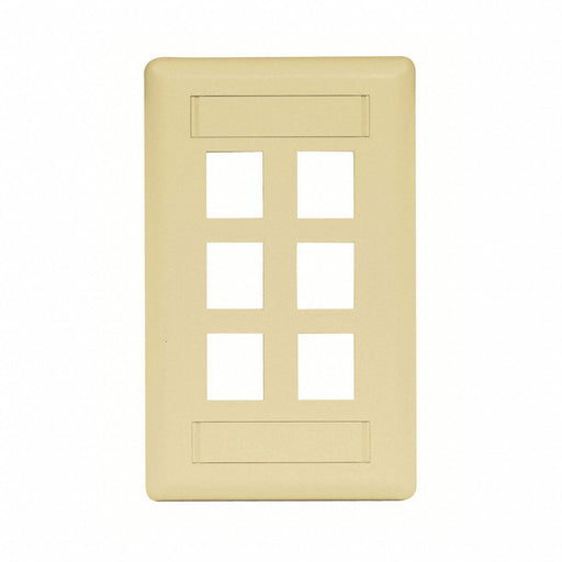 Wall Plate 6 Port