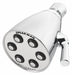 Shower Head Bulb 2.5 gpm