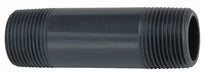 Pipe Nipple Gray 2 in NPT