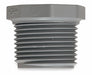 Hex Head Plug 1 1/4 in Schedule 80