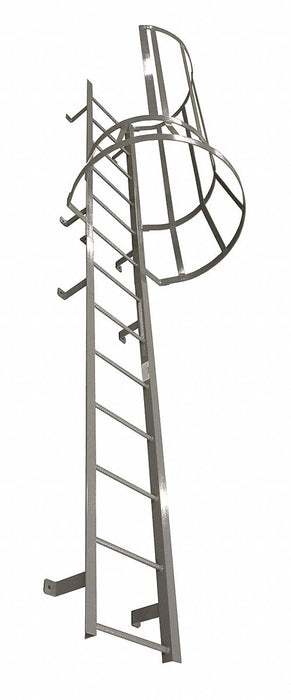 Fixed Ladder w/Safety Cage 21 ft 3 In H