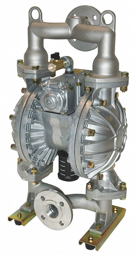 Dbl DphrmPmp NPT/Flange TPV 1/2in 115gpm