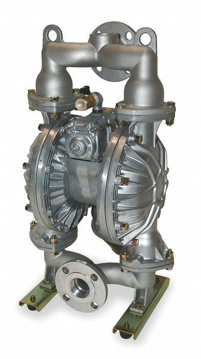 Dbl DphrmPmp NPT/Flange TPV 3/4in 160gpm