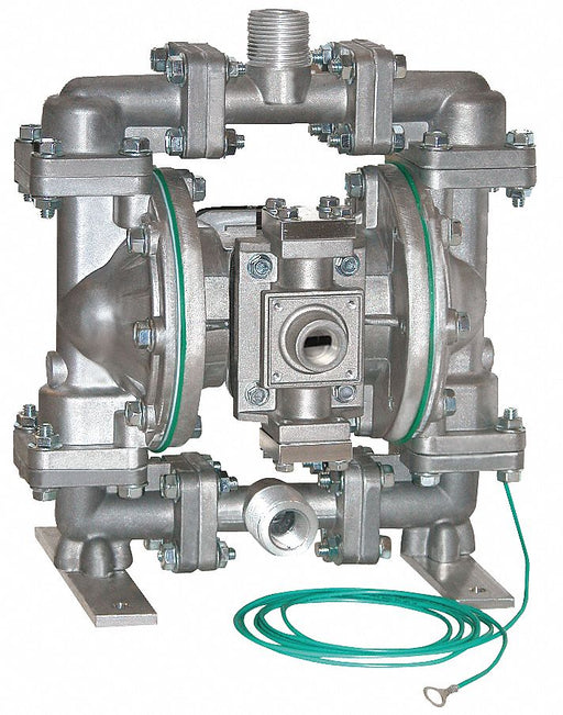 Dbl Diaphragm Pump NPT PTFE 1/2in 15gpm