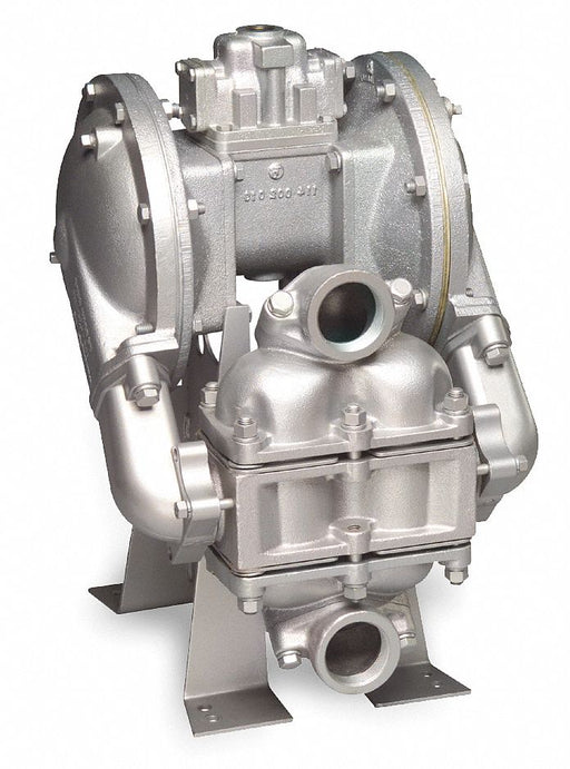 DblDiaphPmp NPT TPV/316 SStl 3/4 135gpm
