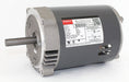 Motor 1/3 HP 1725 rpm 56CZ 115V