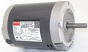 Belt Drive Motor 56CZ 1/4 hp 1/10 hp