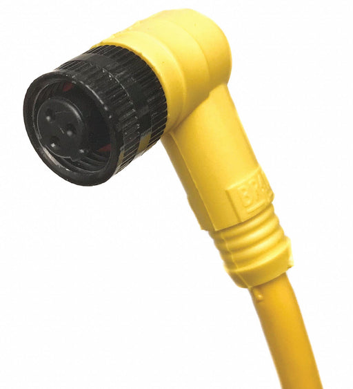 Cordset 3 Pin Receptacle Female